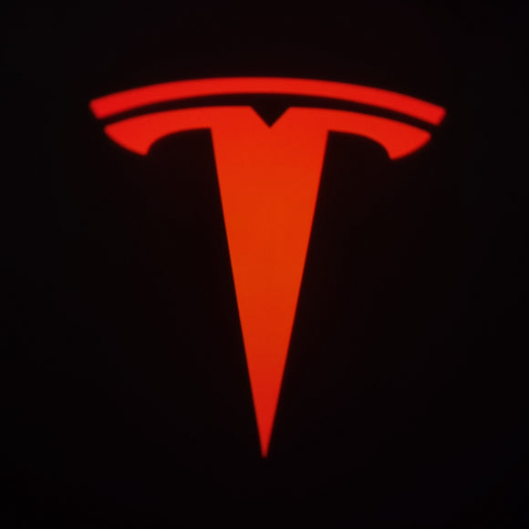 2x Tesla DOOR LIGHT (PLUG&PLAY)