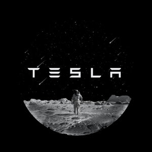2x Tesla DOOR LIGHT (PLUG&PLAY)