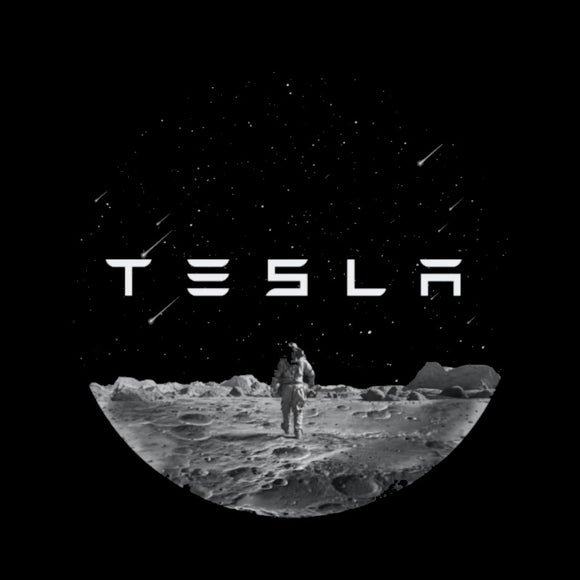 2x Tesla DOOR LIGHT (PLUG&PLAY)