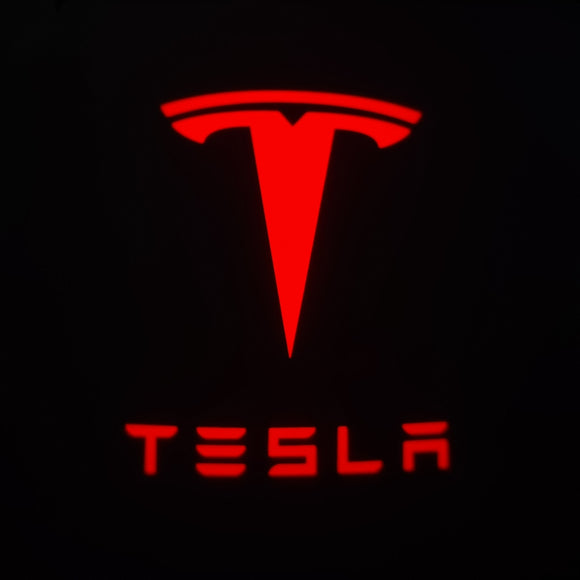 2x Tesla DOOR LIGHT (PLUG&PLAY)