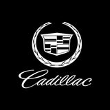 2x Cadillac door light (plug&play)