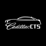 2x Cadillac door light (plug&play)