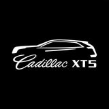 2x Cadillac door light (plug&play)