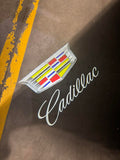 Car door puddle light projecting the Cadillac crest and stylized lettering onto the pavement.