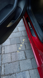 2x Tesla DOOR LIGHT (PLUG&PLAY)